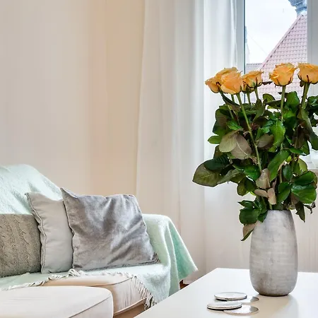 Elite Korzenna Center Apartment