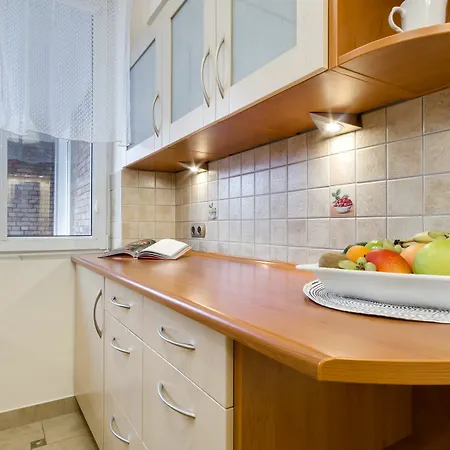 Apartment Elite Korzenna Center *