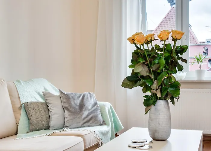 Elite Korzenna Center Apartamento