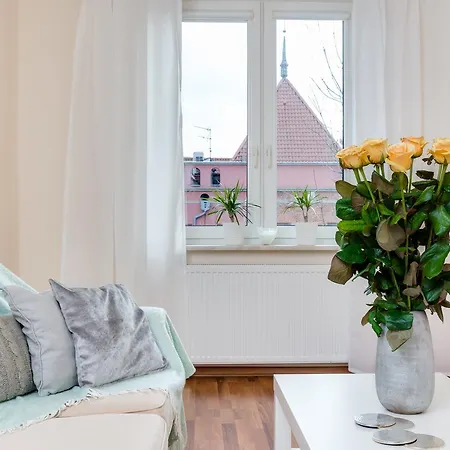 Elite Korzenna Center Daire